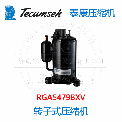 RGA5479BXV